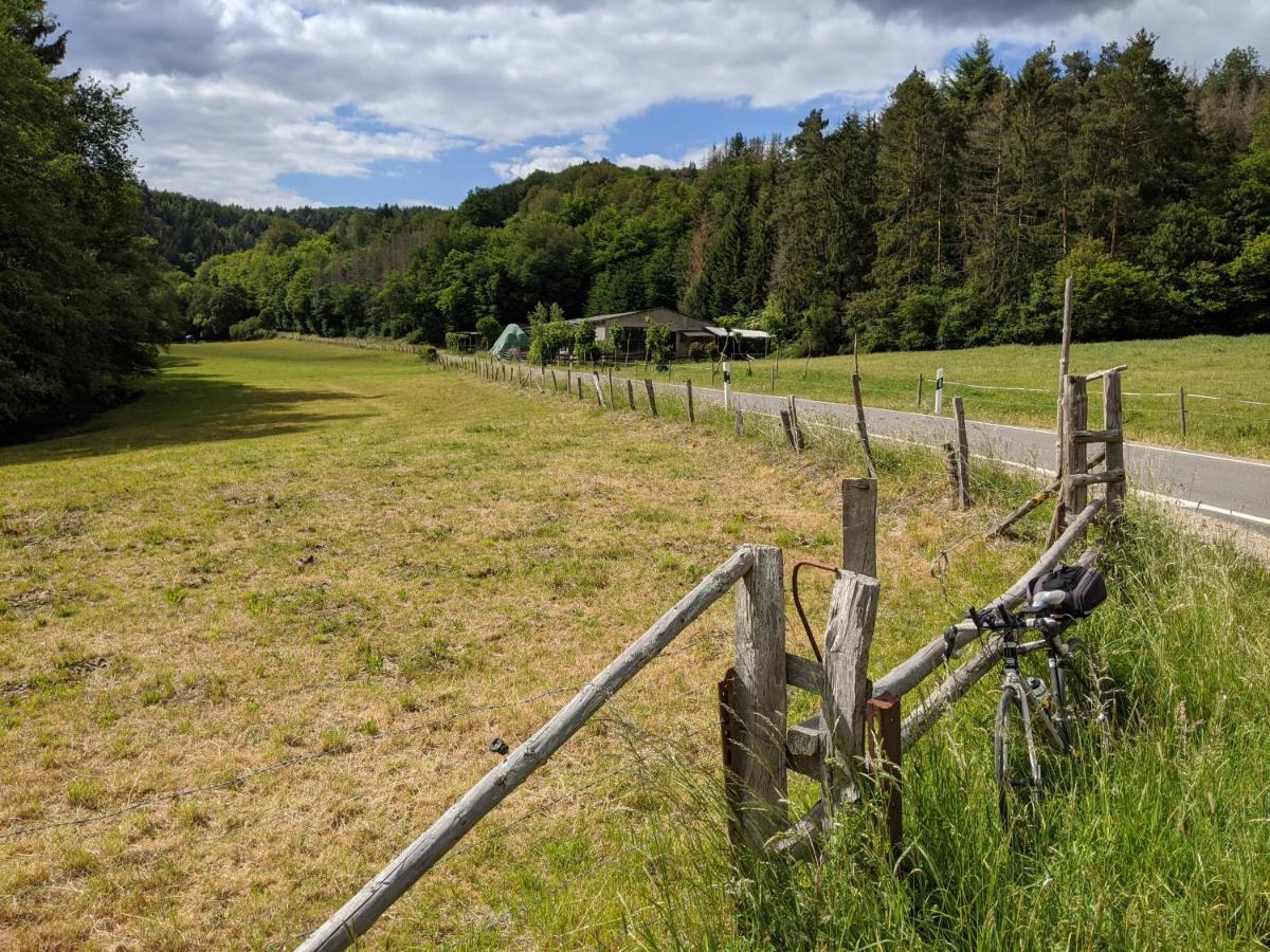 MayschoßAm Bungertアパートメント エクステリア 写真